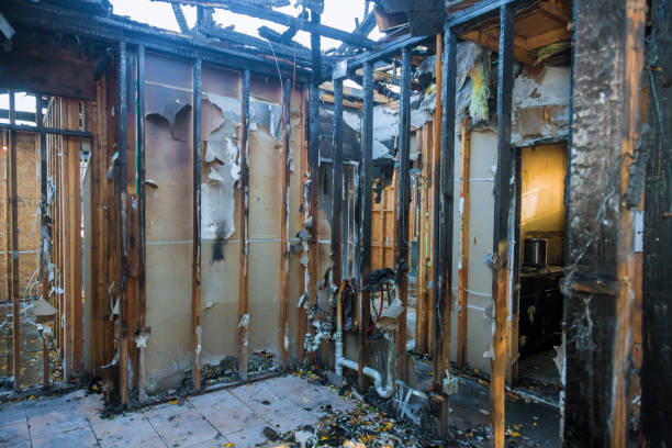 Professional Smoke Damage Removal technician working in Brookridge, FL